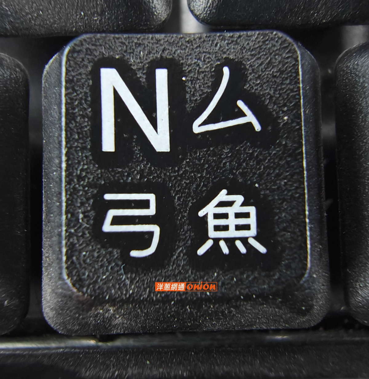Sharp AQUOS R9 Pro 微距拍攝