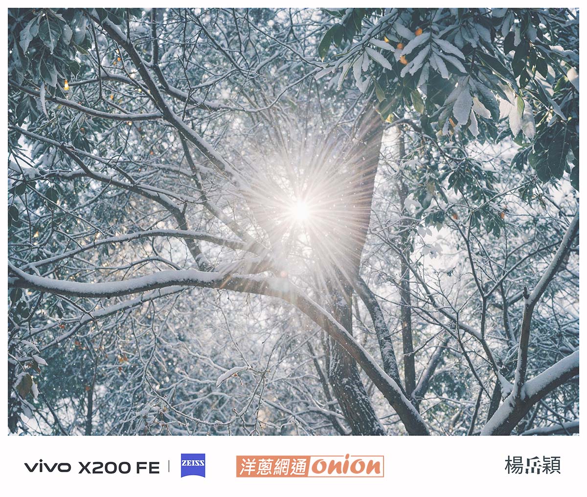 vivo x200 fe ai四季人像