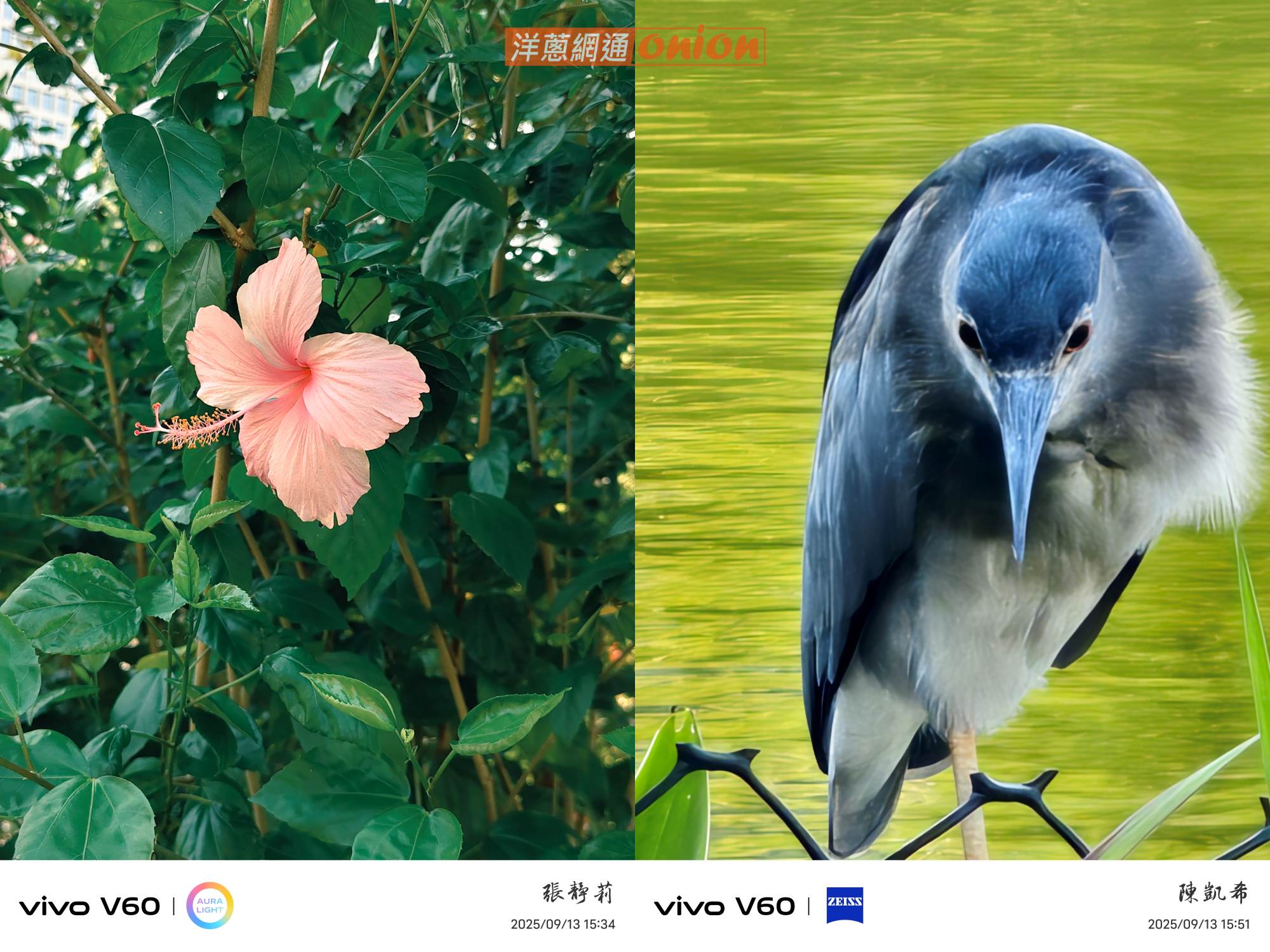 vivo V60 拍攝