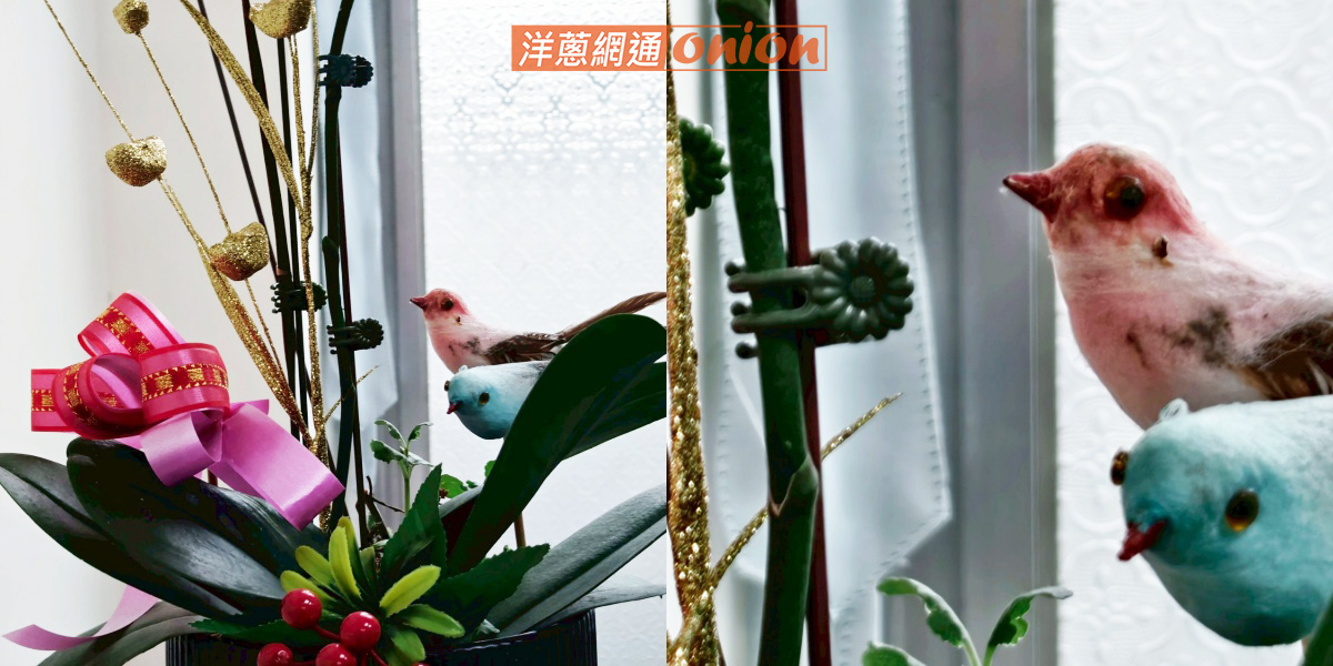 vivo V60 變焦