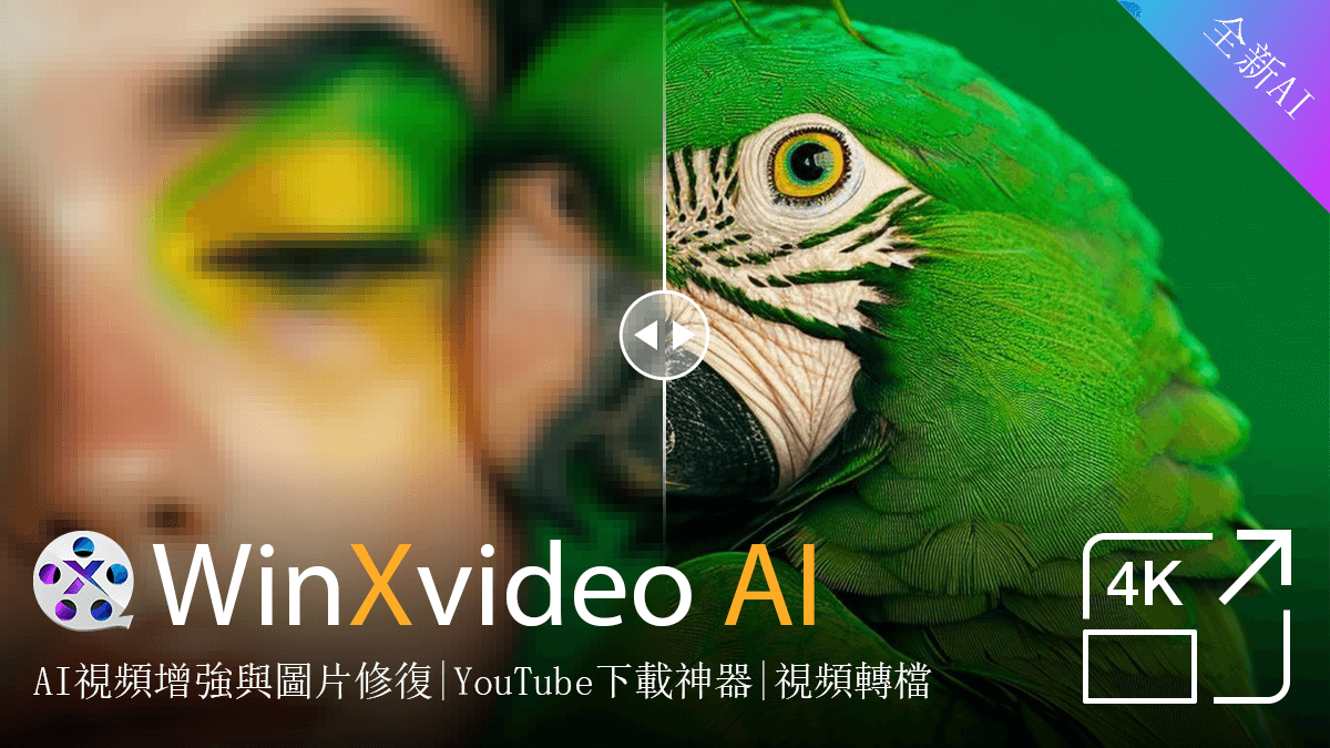 Winxvideo AI 限時福利