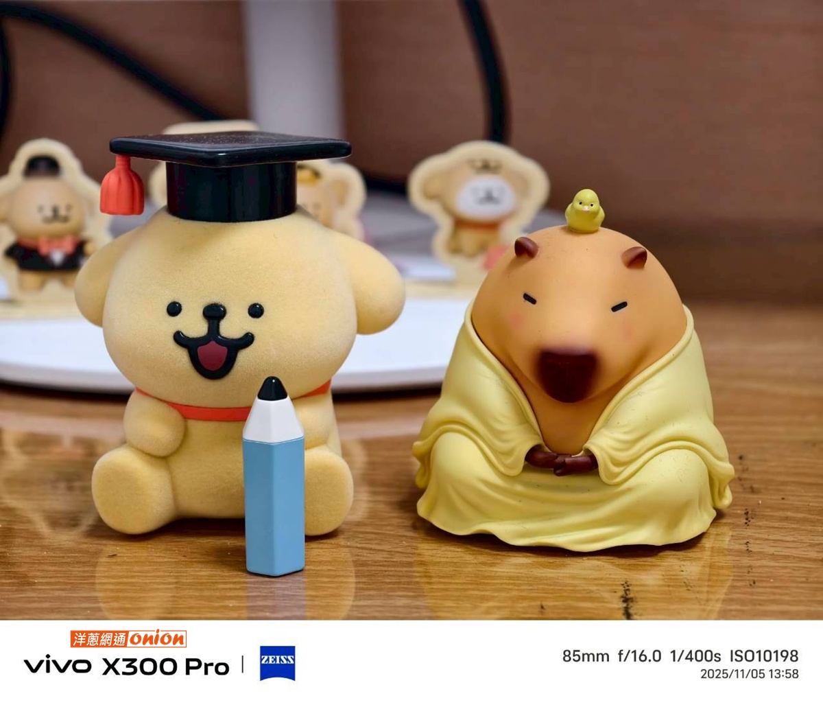 vivo X300 Pro 一般人像