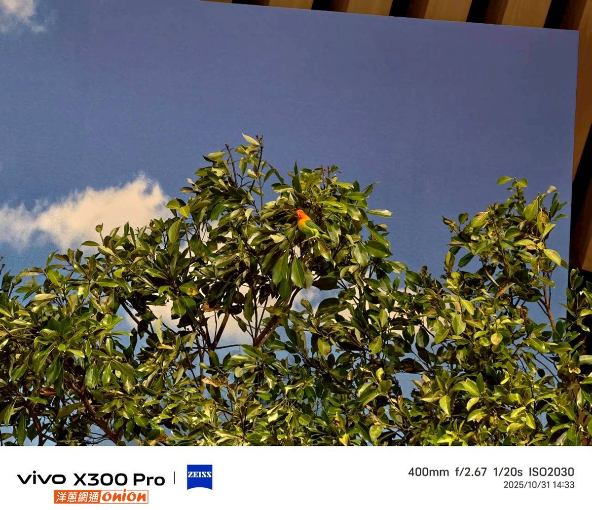 vivo X300 Pro 搭配增距鏡 400mm焦段實拍