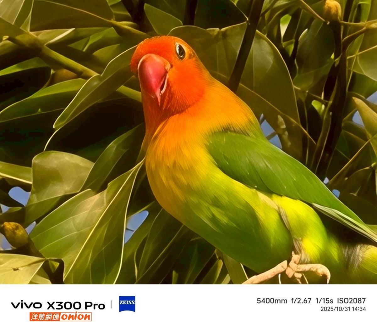 vivo X300 Pro 搭配增距鏡 5400mm焦段實拍