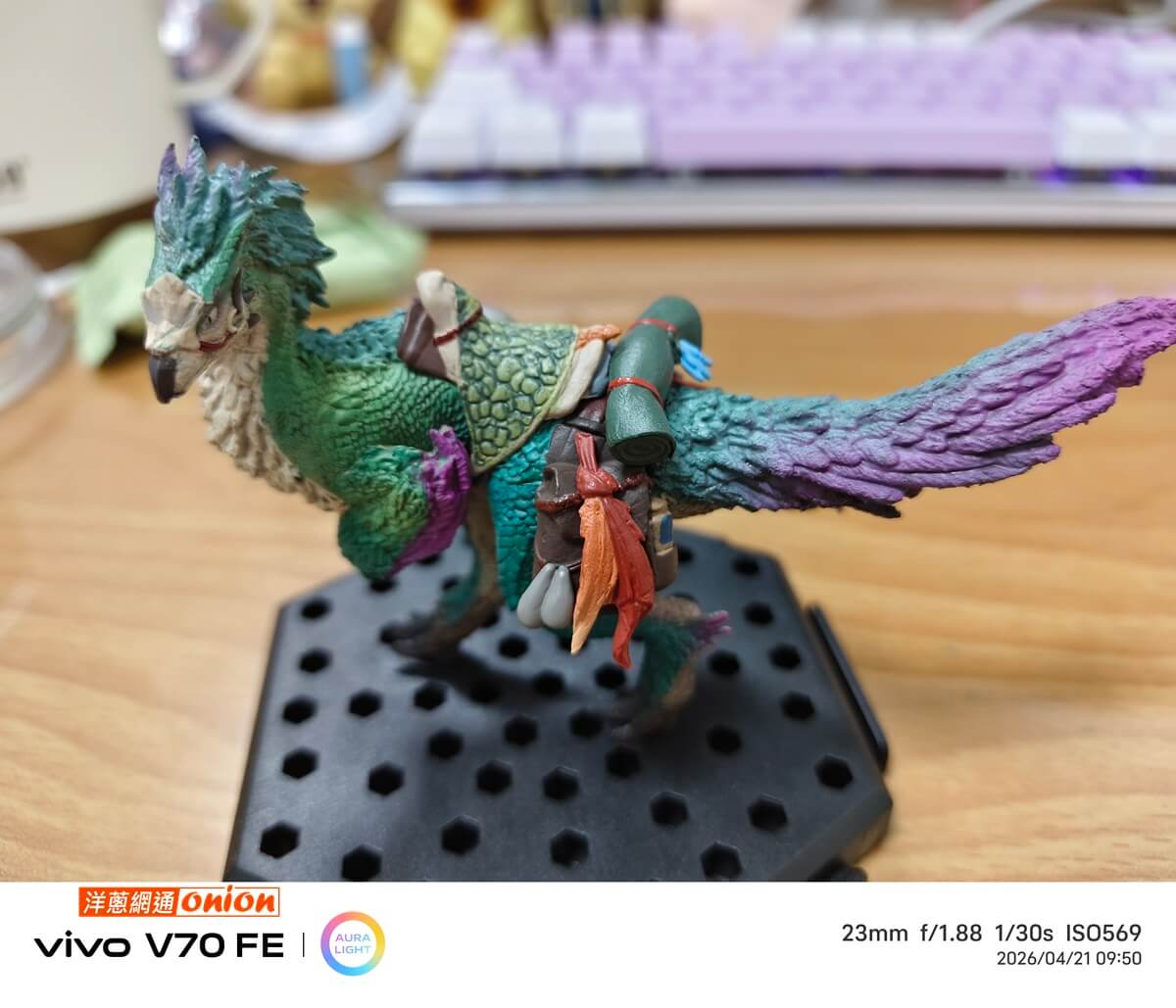 vivo V70FE 微距實拍