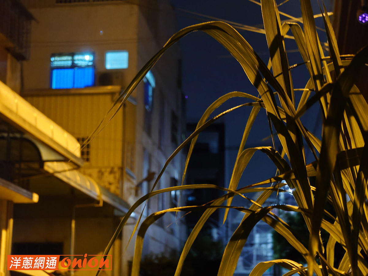 Sony Xperia 1 VIII 夜拍